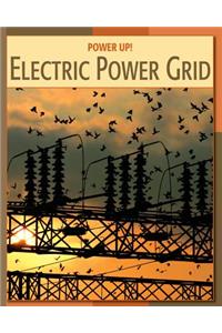 Electric Power Grid