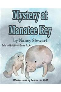 Mystery at Manatee Key