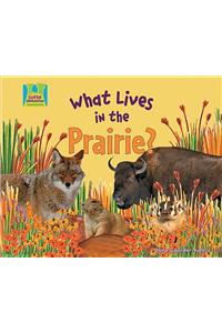 What Lives in the Prairie?