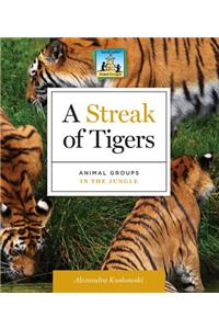 Streak of Tigers: Animal Groups in the Jungle