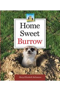 Home Sweet Burrow