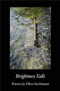 Brightness Falls