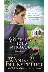 Looking for a Miracle