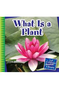 What Is a Plant