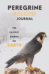 Peregrine falcon journal &Notebook 6