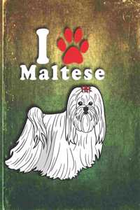 Maltese