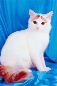 2020 Daily Planner Pretty Kitty White Cat Photo 388 Pages