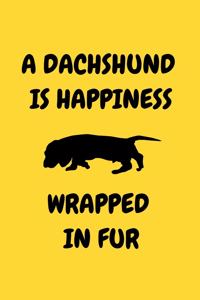 A Dachshund Is Happiness Wrapped in Fur