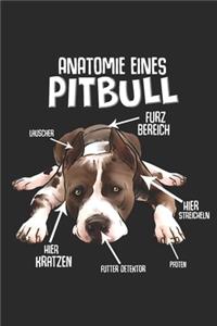 Anatomie eines Pitbull