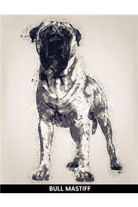 Bull Mastiff