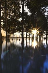 Flooded Pine Forest Journal