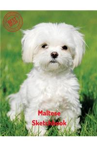Maltese Sketchbook
