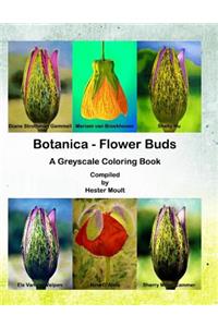 Botanica - Flower Buds