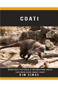 Coati