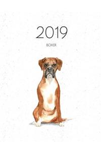 2019 Boxer