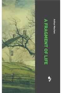 A Fragment of Life