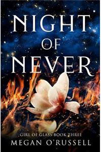 Night of Never