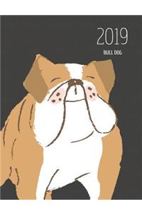 2019 Bull Dog
