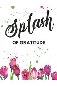 Splash of Gratitude