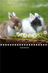 Cute Bunnies