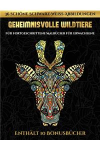 Für Fortgeschrittene Malbücher für Erwachsene (Geheimnisvolle Wildtiere)