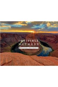 Invisible Witness