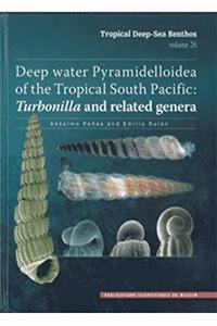 Deep Water Pyramidelloidea of the Tropical South Pacific: Turbonilla and Related Genera