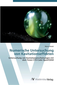Numerische Untersuchung von Kavitationseffekten
