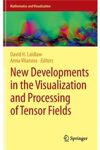 New Developments in the Visualization and Processing of Tensor Fields