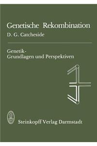 Genetische Rekombination