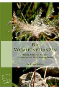Voralpenpflanzen