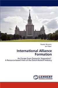 International Alliance Formation