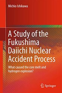 Study of the Fukushima Daiichi Nuclear Accident Process