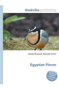 Egyptian Plover