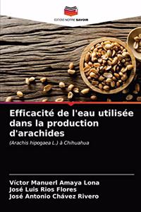 Efficacité de l'eau utilisée dans la production d'arachides