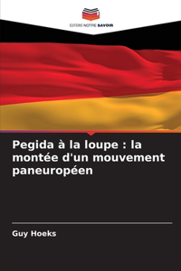 Pegida à la loupe