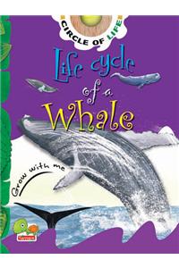 Life Cycle of a Whale: Key stage 1