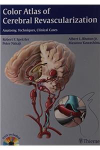 Color Atlas of Cerebral Revascularization: Microanatomy, Approaches and Techniques