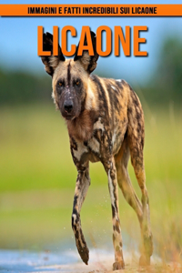 Licaone