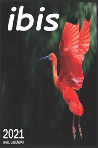 2021 Ibis