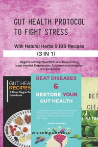 Gut Health Protocol to Fight Stress with Natural Herbs and Ibs Recipes