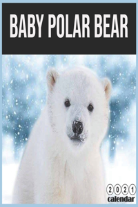 baby Polar bear 2021 Calendar
