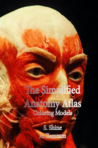 Simplified Anatomy Atlas