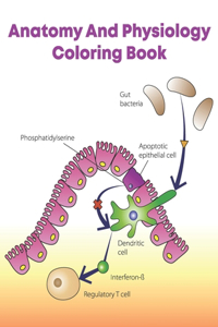 Anatomy And Physiology Coloring