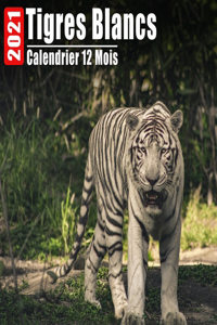 Calendrier 2021 Tigres Blancs: Mini Photos Calendrier Tigres Blancs Et Organisateur Mensuel Avec Citations Inspirantes Chaque Mois