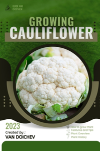 Cauliflower