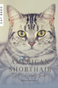 American Shorthair