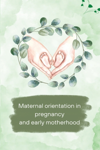 Maternal orientation in pregnancy and early motherhood