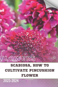 Scabiosa, How to Cultivate Pincushion Flower