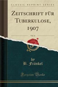 Zeitschrift Fur Tuberkulose, 1907, Vol. 11 (Classic Reprint)